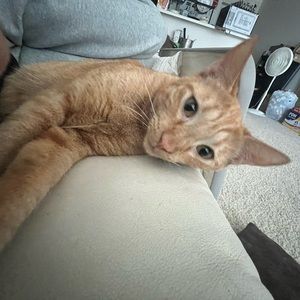 Meet your Posher, Liz